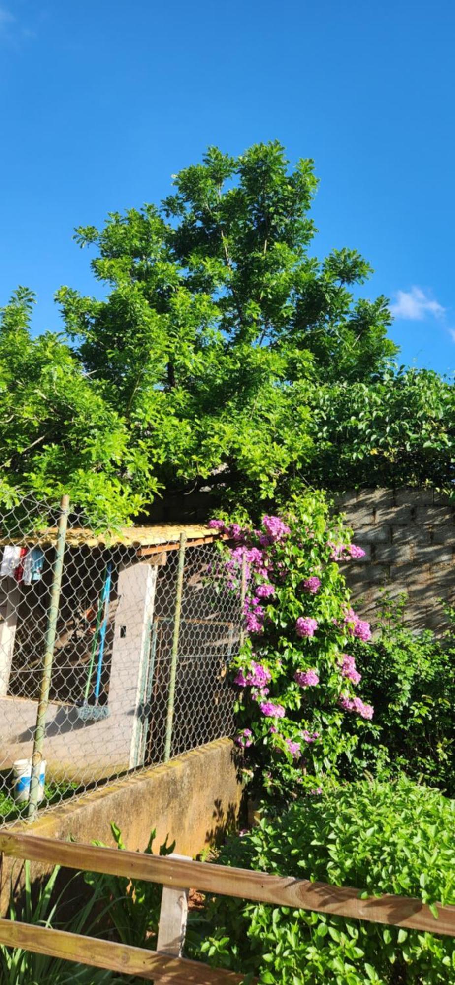 Recanto Das Pretinhas Ibiuna Exterior photo